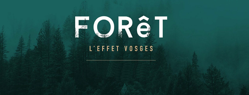 Foret l'effet Vosges