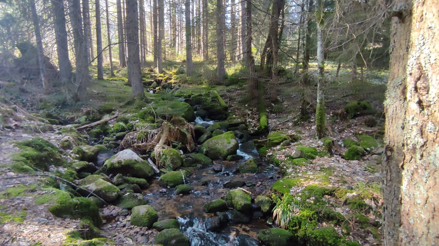 Cours d'eau La Fave