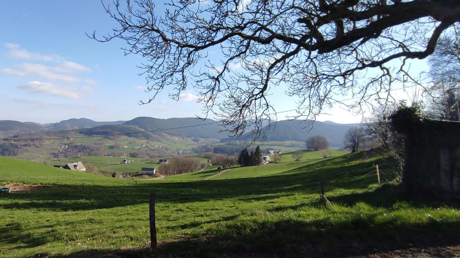 Vallons vosgiens