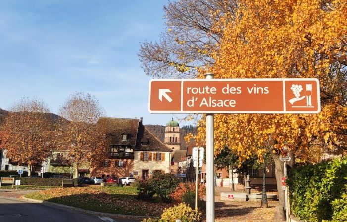 Route des vins d'Alsace